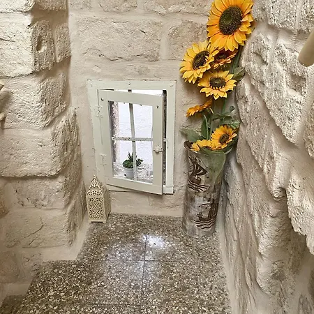 Terrazza Mediterranea - Puglia Mia דירה מונופולי